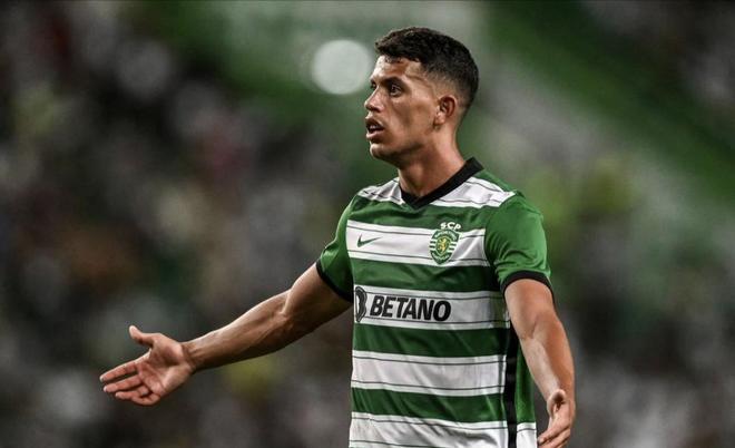 梅德韦杰夫 梅德韦杰夫