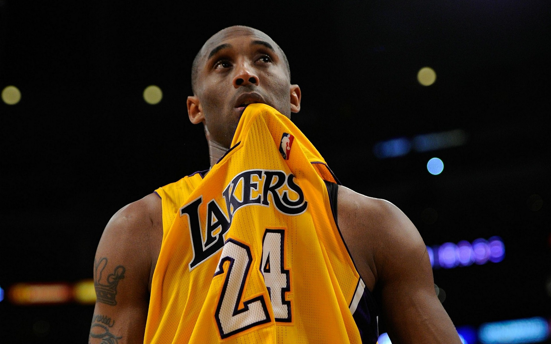 目的焦点 目的焦点