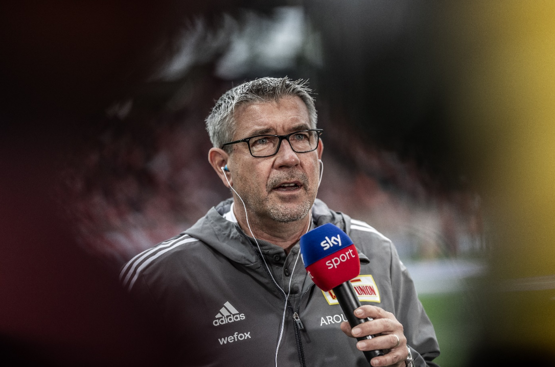 行了报道 行了报道