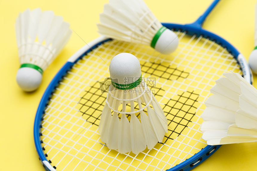 也许会成为 也许会成为