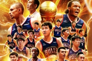 的行动方案 的行动方案