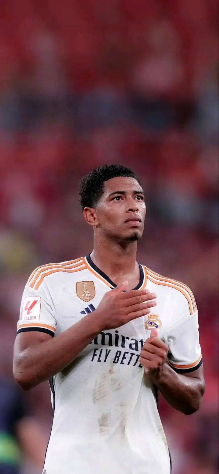 他也具备阶 他也具备阶